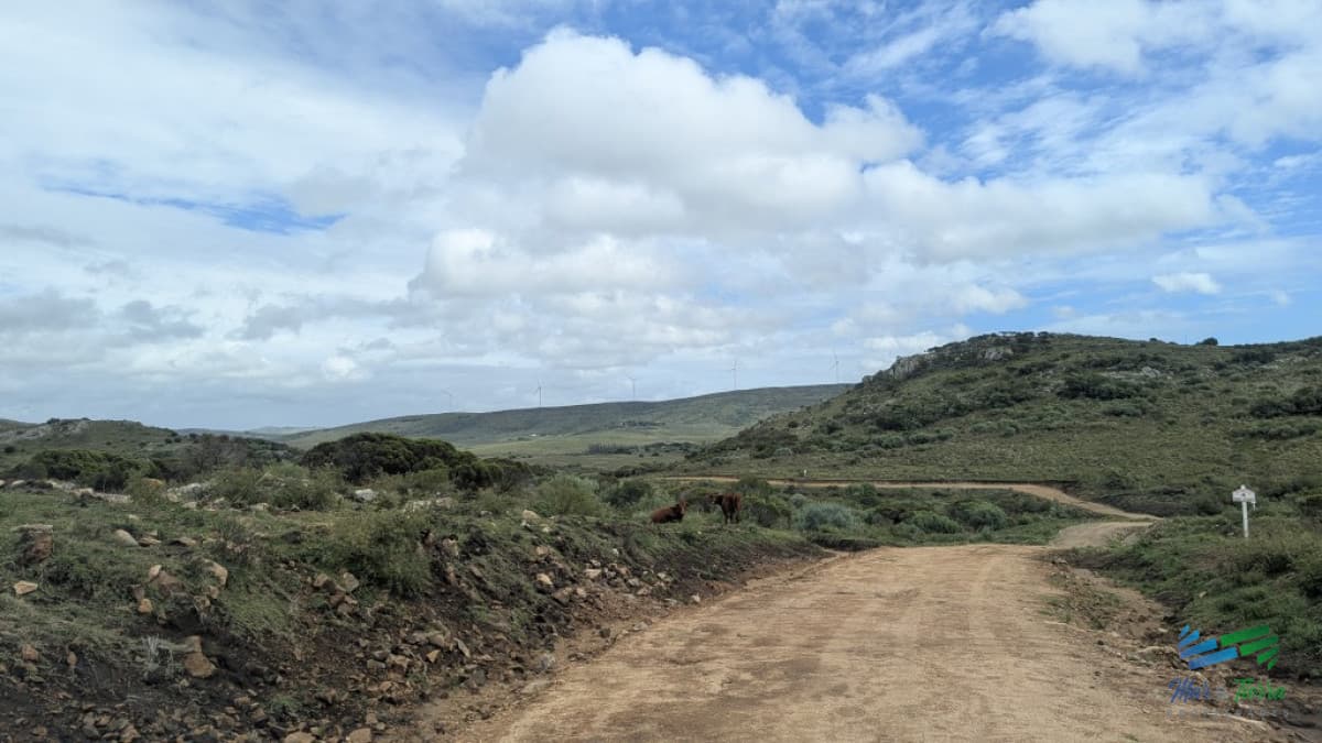 En venta chacra en Sierra de los Caracoles 3 has Ruta 39 Maldonado