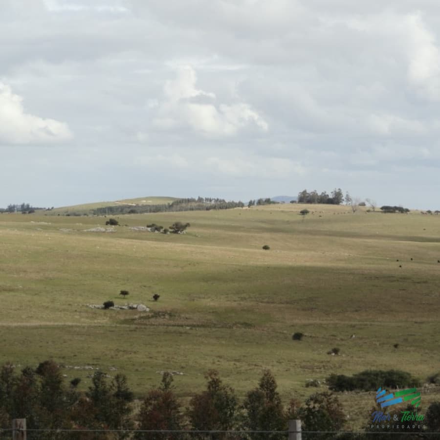 BAJO DE PRECIO...Campo sobre R.12 y a menos de 1 hora de Punta. Suelos 2.12, buenas vistas y gran potencial turístico !