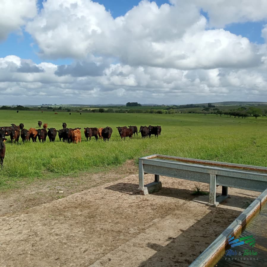 El Establecimiento Rural mas completo de Pueblo Edén y se vende a portera cerrada !