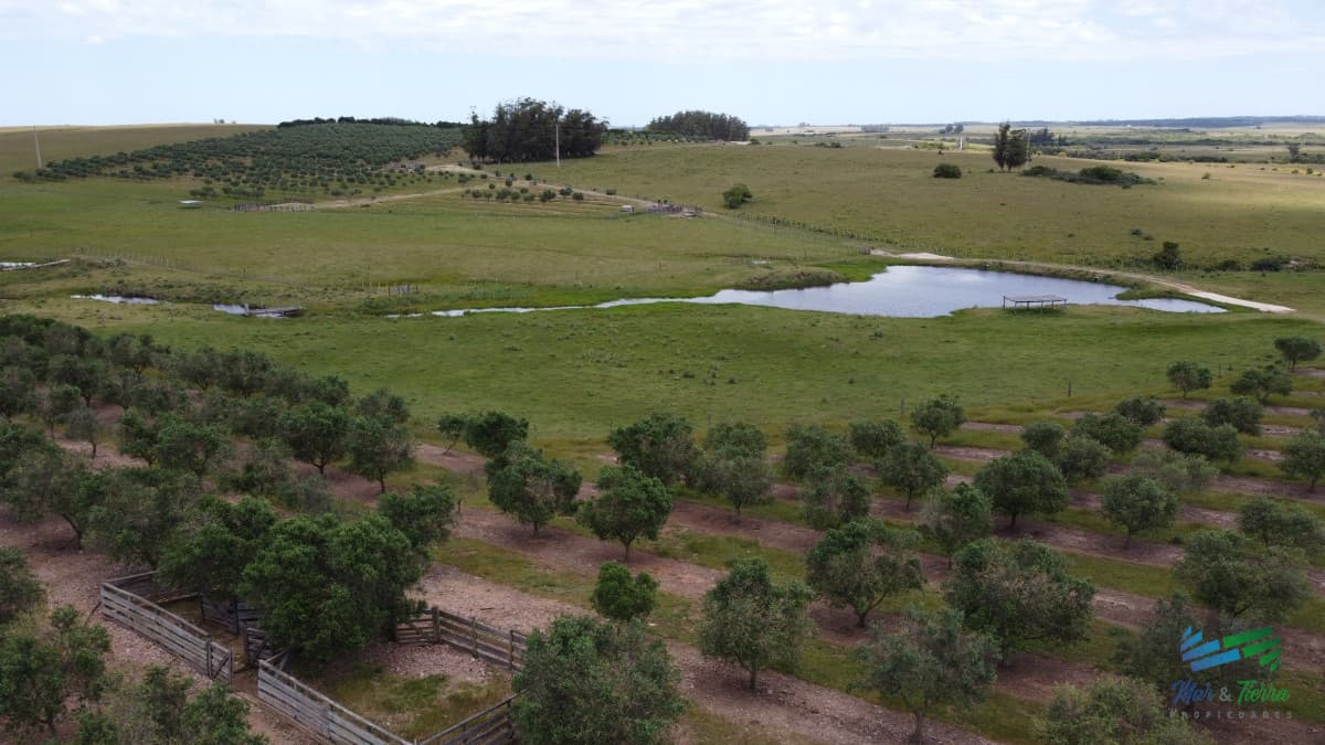 Establecimiento productivo completo, a pocos Kms de Garzón y de R.9, inmejorable ubicación.