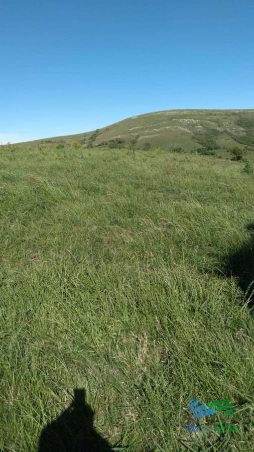 Linda fracción de campo ganadero con aptitud forestal