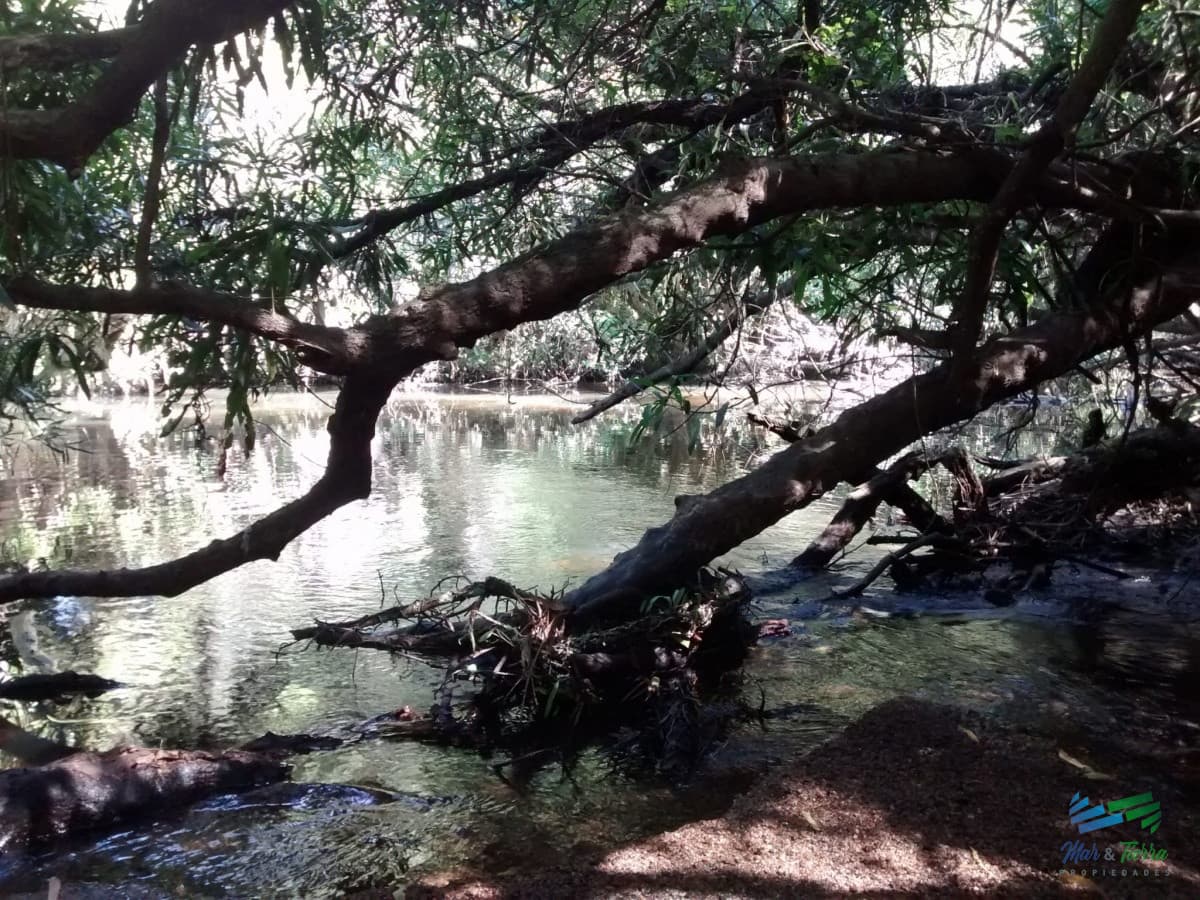 Lindo campo ganadero de 78 Has muy bien ubicado, muy pintoresco.