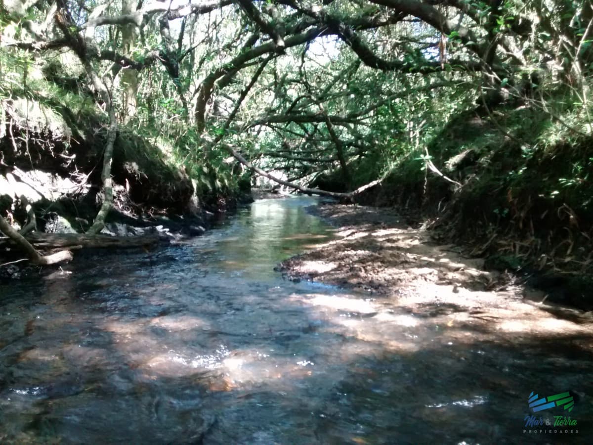 Pintoresco campo Ganadero muy bien ubicado.