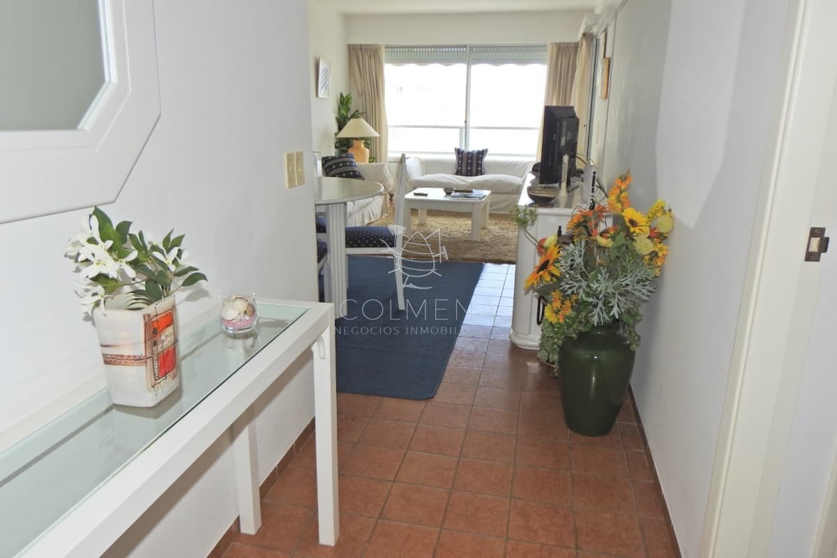 Apartamento  1 dormitorio y medio en playa mansa