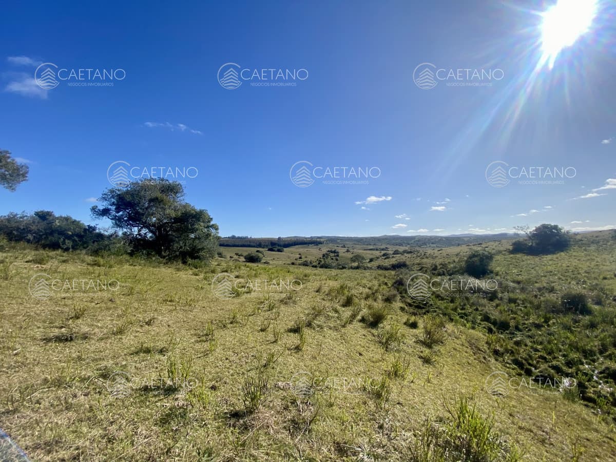 Venta chacra 5 hectáreas. Pueblo Edén, Maldonado.