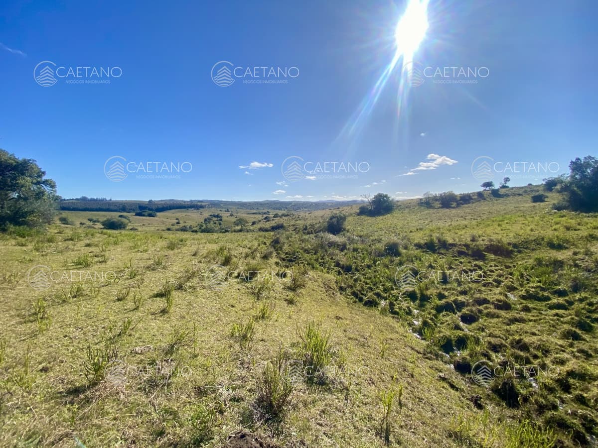 Venta chacra 5 hectáreas. Pueblo Edén, Maldonado.