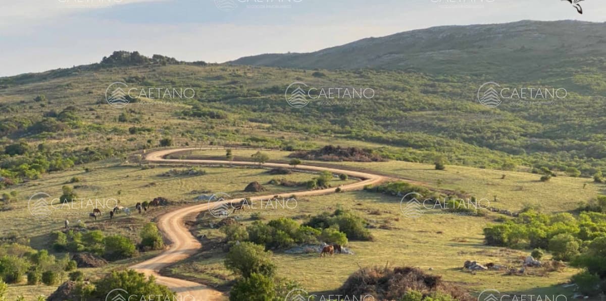 Venta chacra 5 hectáreas.  Ruta 12, Maldonado.