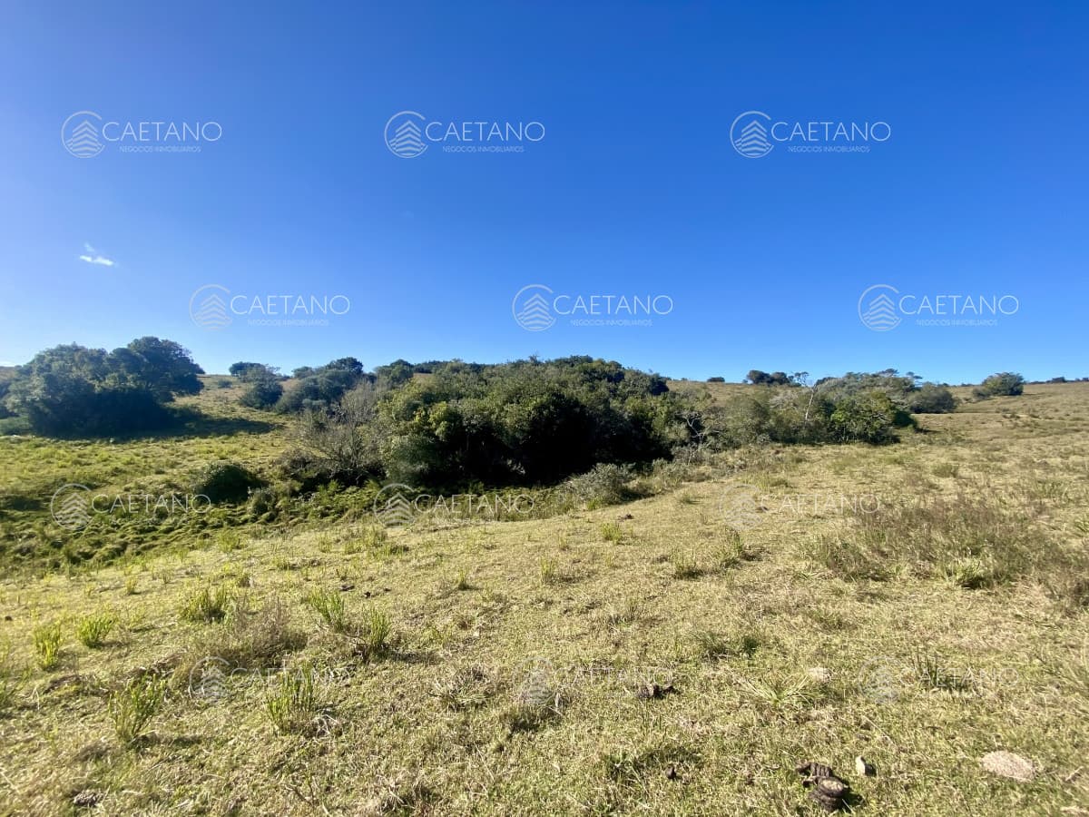 Venta chacra 5 hectáreas. Camino del Olivo, Pueblo Edén.