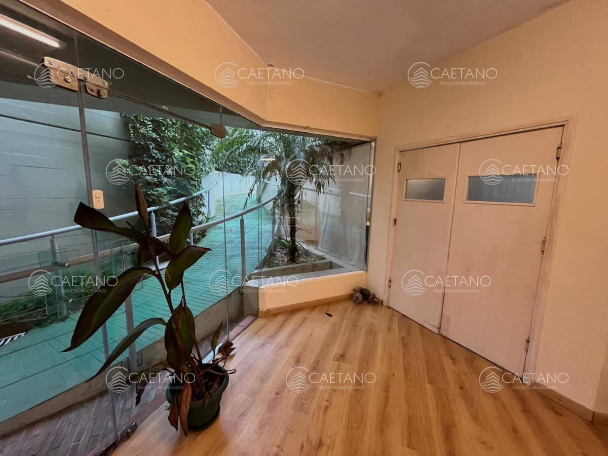 Venta local Roosevelt