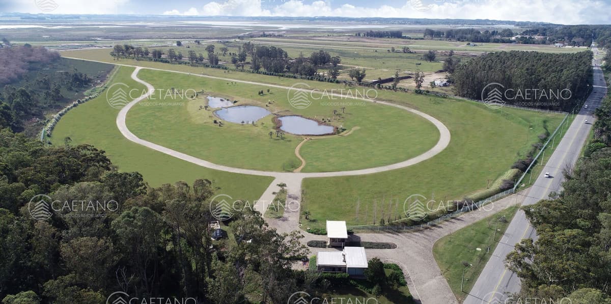 Venta lote apto edificio. Los Caracoles, Punta del Este