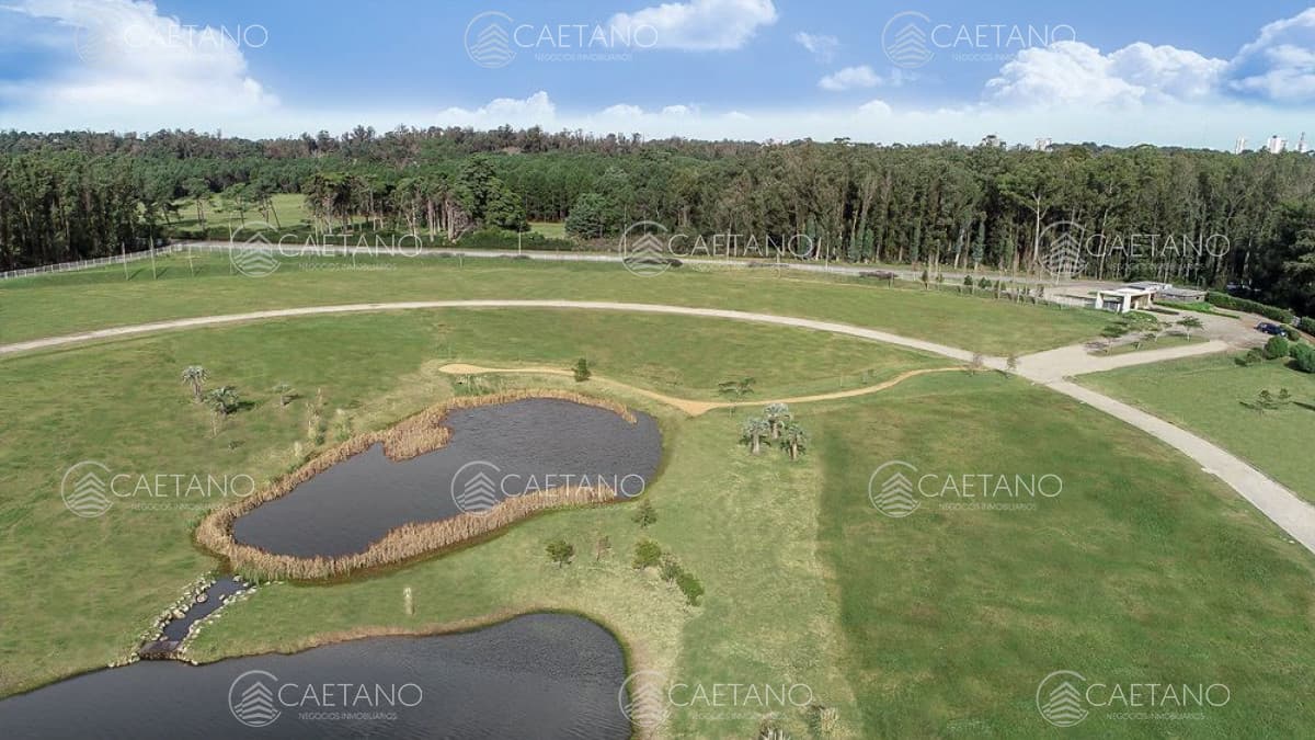 Venta terrenos zona torres Caracoles Ciudad Jardin