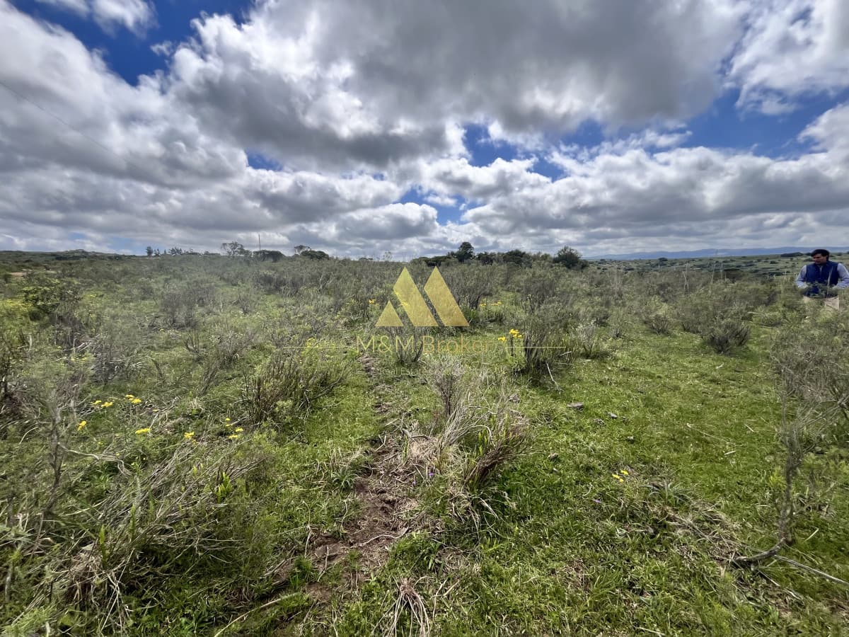 Chacra ID.622 - Venta chacra 4,5ha Maldonado