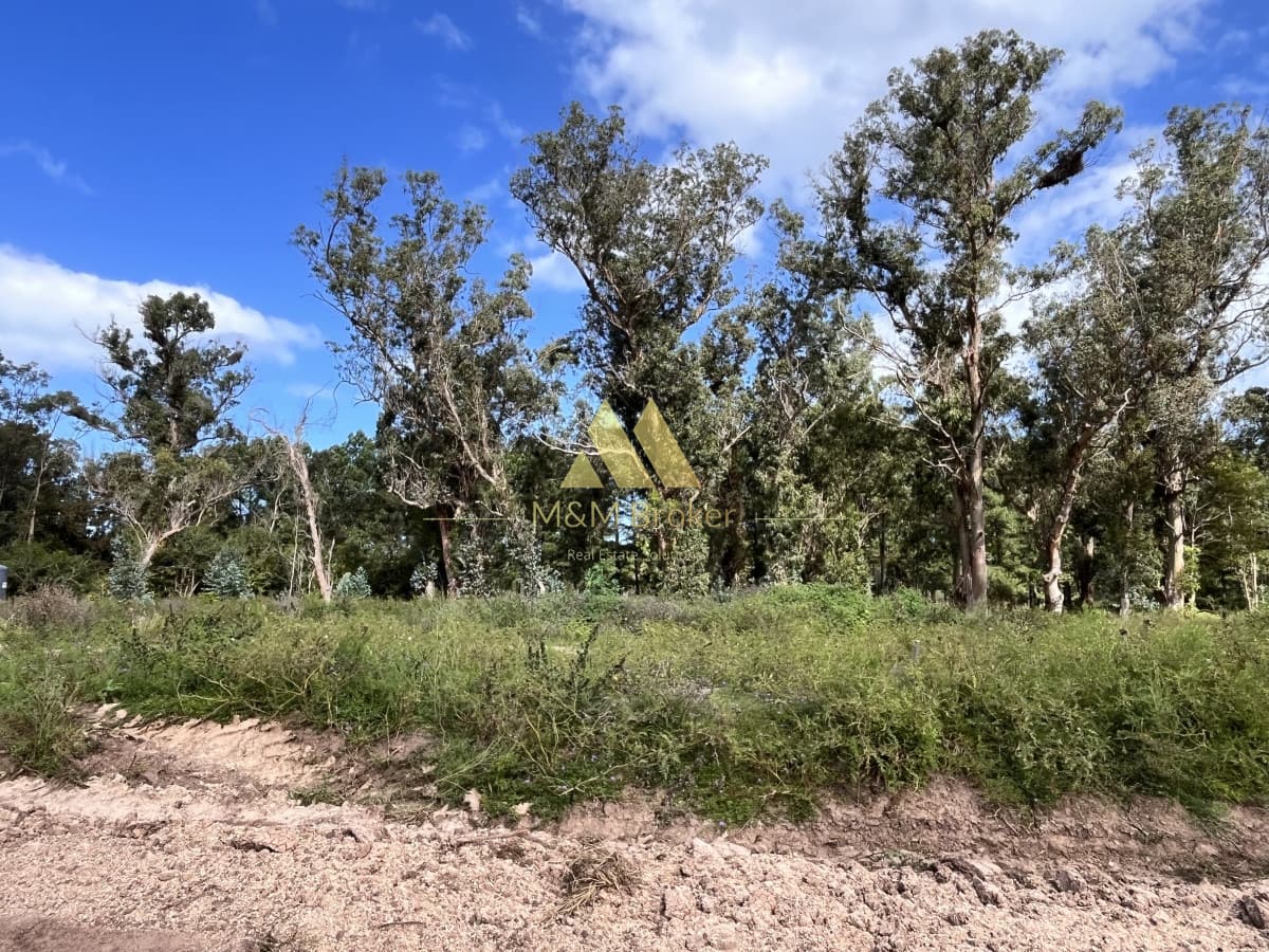 Terreno ID.409 - Venta terreno Pda 45 mansa (barrio privado)
