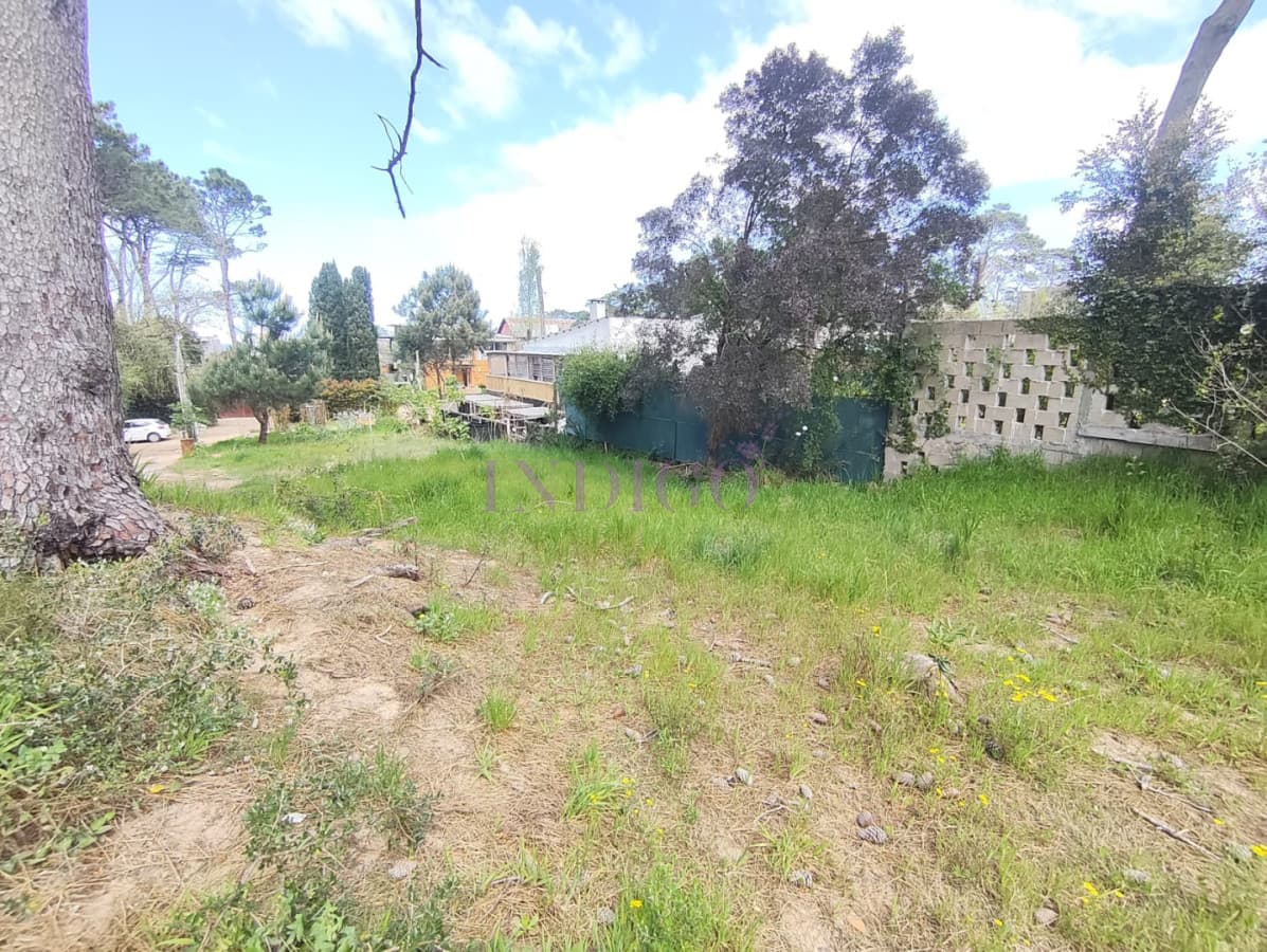 Terreno en Venta en Montoya - Indigo Propiedades