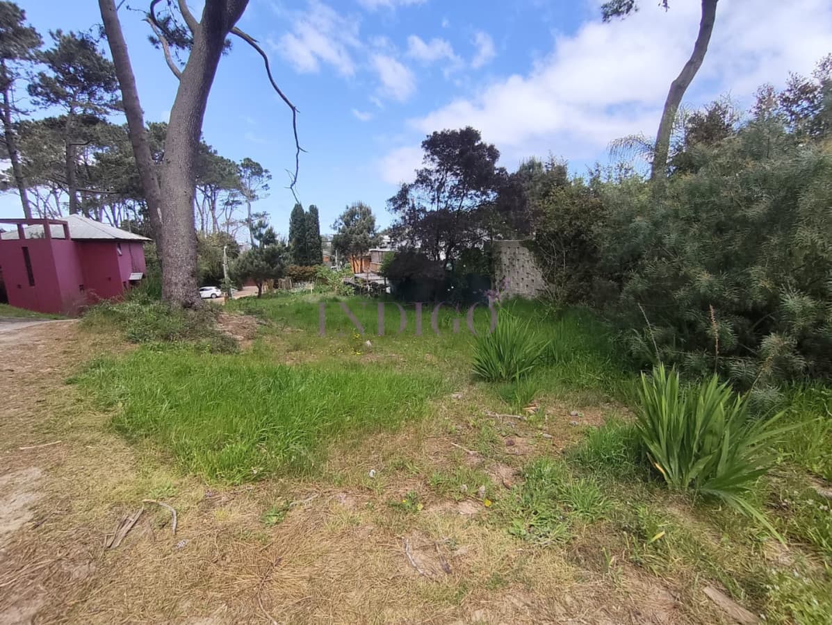 Terreno en Venta en Montoya - Indigo Propiedades