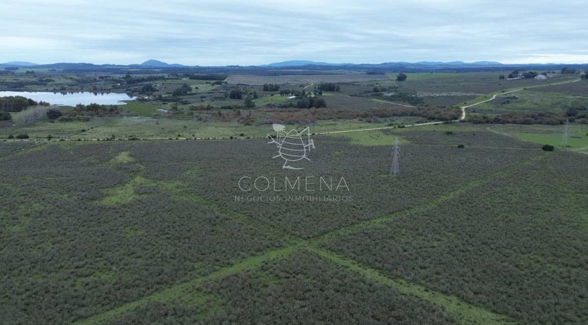 10 has con 9720 m2 Chacra cerca de ruta 12 y Laguna del sauce