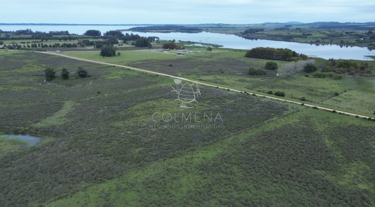 10 has con 9720 m2 Chacra cerca de ruta 12 y Laguna del sauce