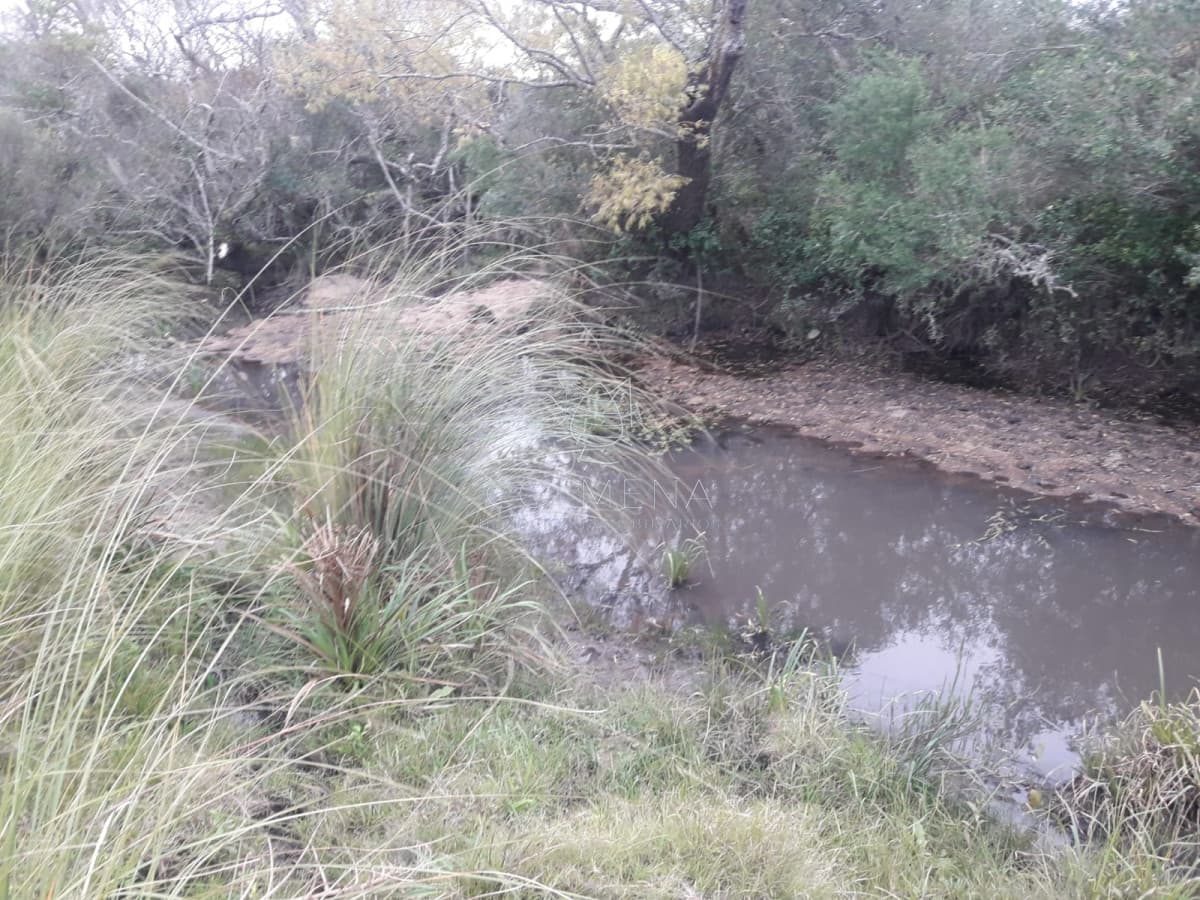 Campo en Garzón con Casa - Consulte!!!!!
