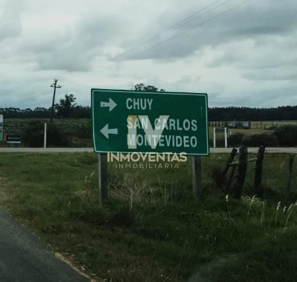 Campo ideal para plantación Cannabis