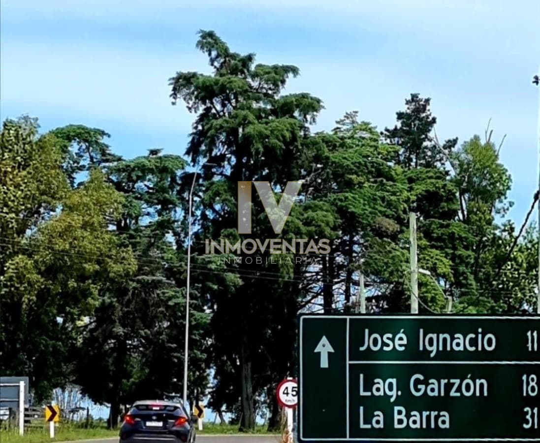 Campo ideal para plantación Cannabis