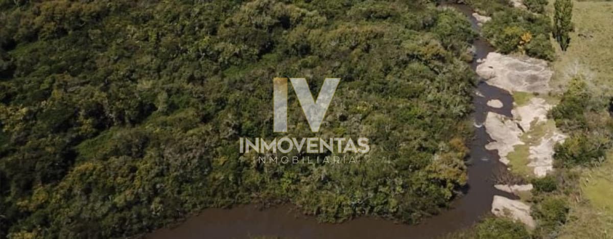 Campo ideal para plantación Cannabis