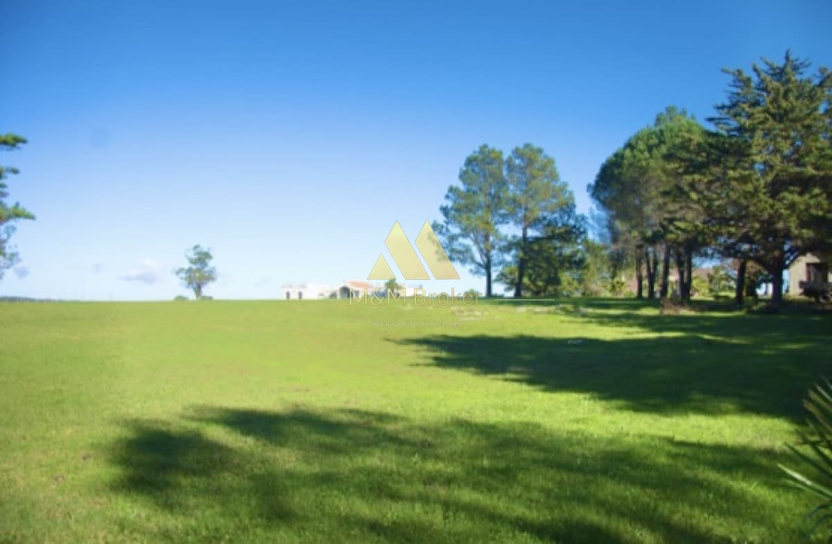 Chacra ID.118 - Venta de chacra en ruta 39