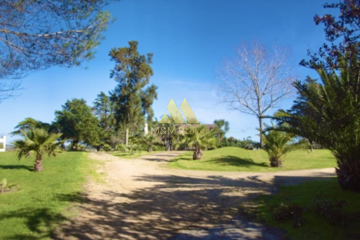 Chacra ID.118 - Venta de chacra en ruta 39