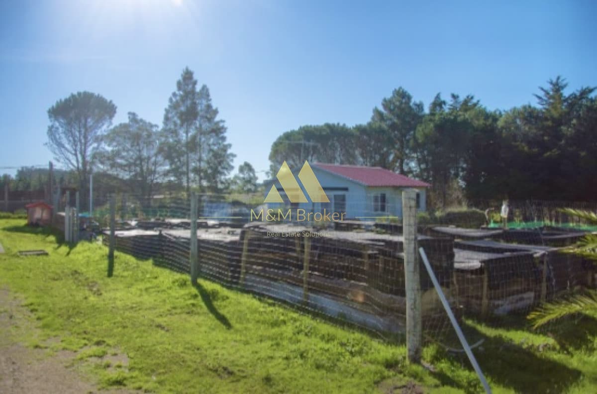 Chacra ID.118 - Venta de chacra en ruta 39