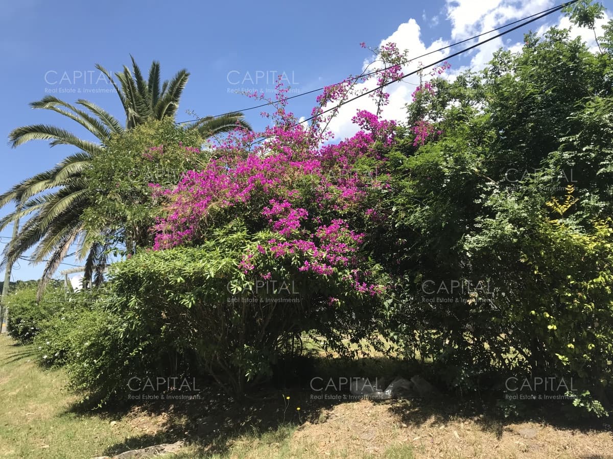 Casa en primera linea, El tesoro/La Barra