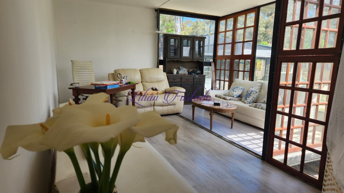 Oficina Contenedor Vidriada  - Lilian Furtado Negocios Inmobiliarios