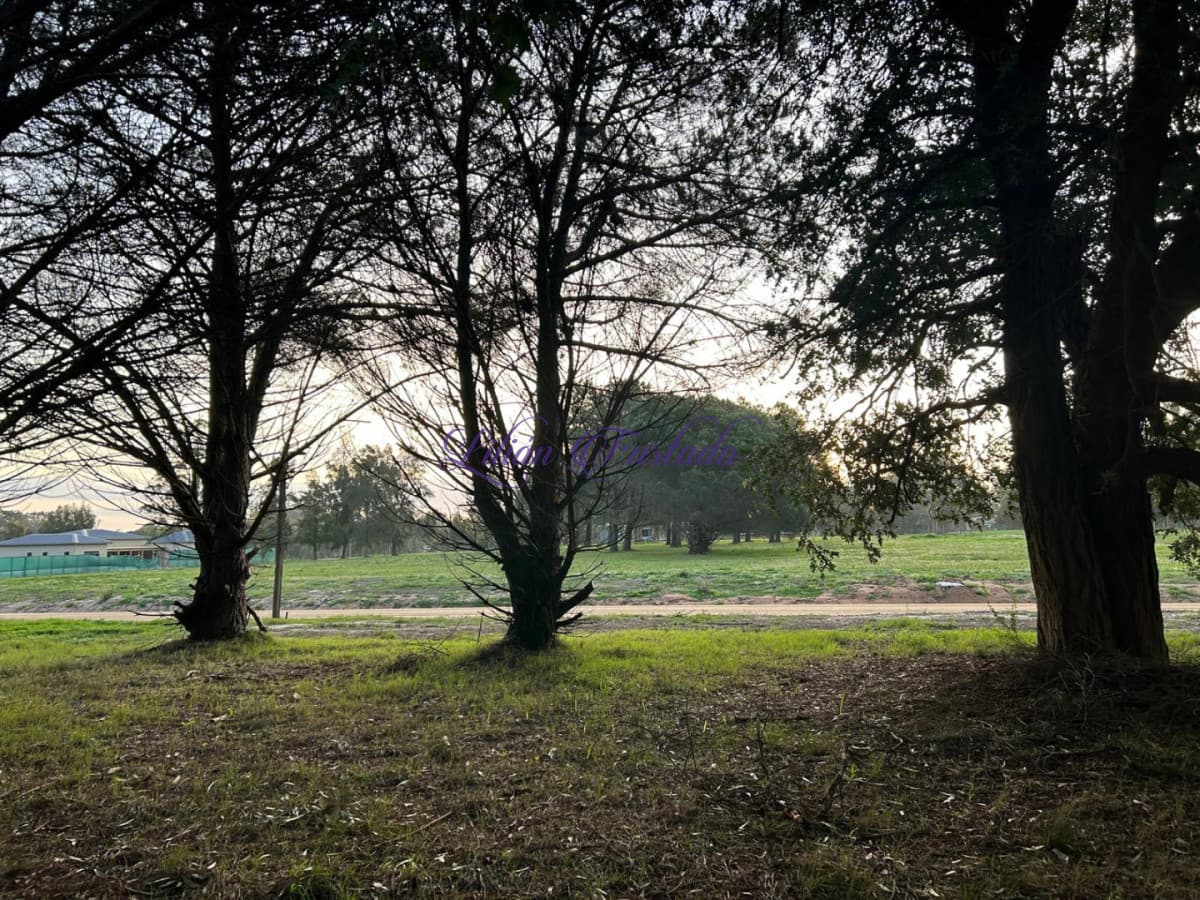 Lote en Don MIGUEL barrio privado - Lilian Furtado Negocios Inmobiliarios