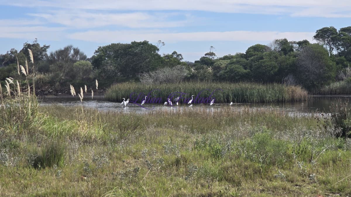 Terreno en La Barra, El Tesoro - Lilian Furtado Negocios Inmobiliarios