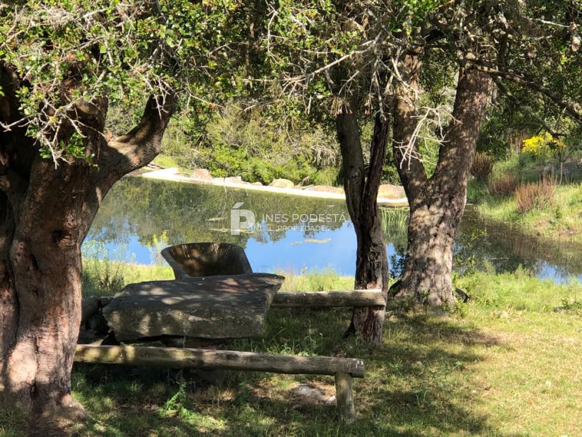 Venta de 384 hc próximo a Sierra de Carapé
