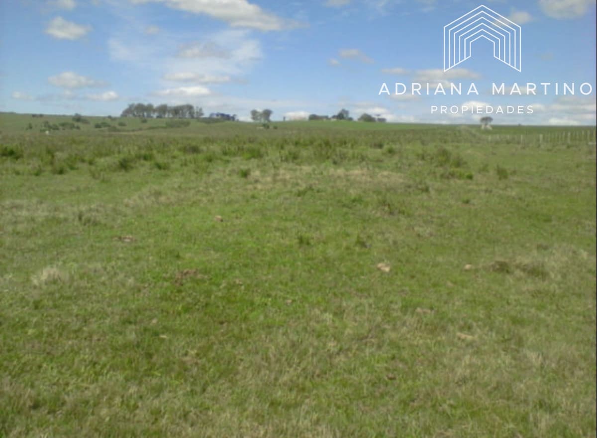 Campo en durazno