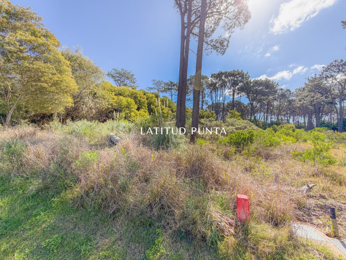 Terreno en Reserva Montoya