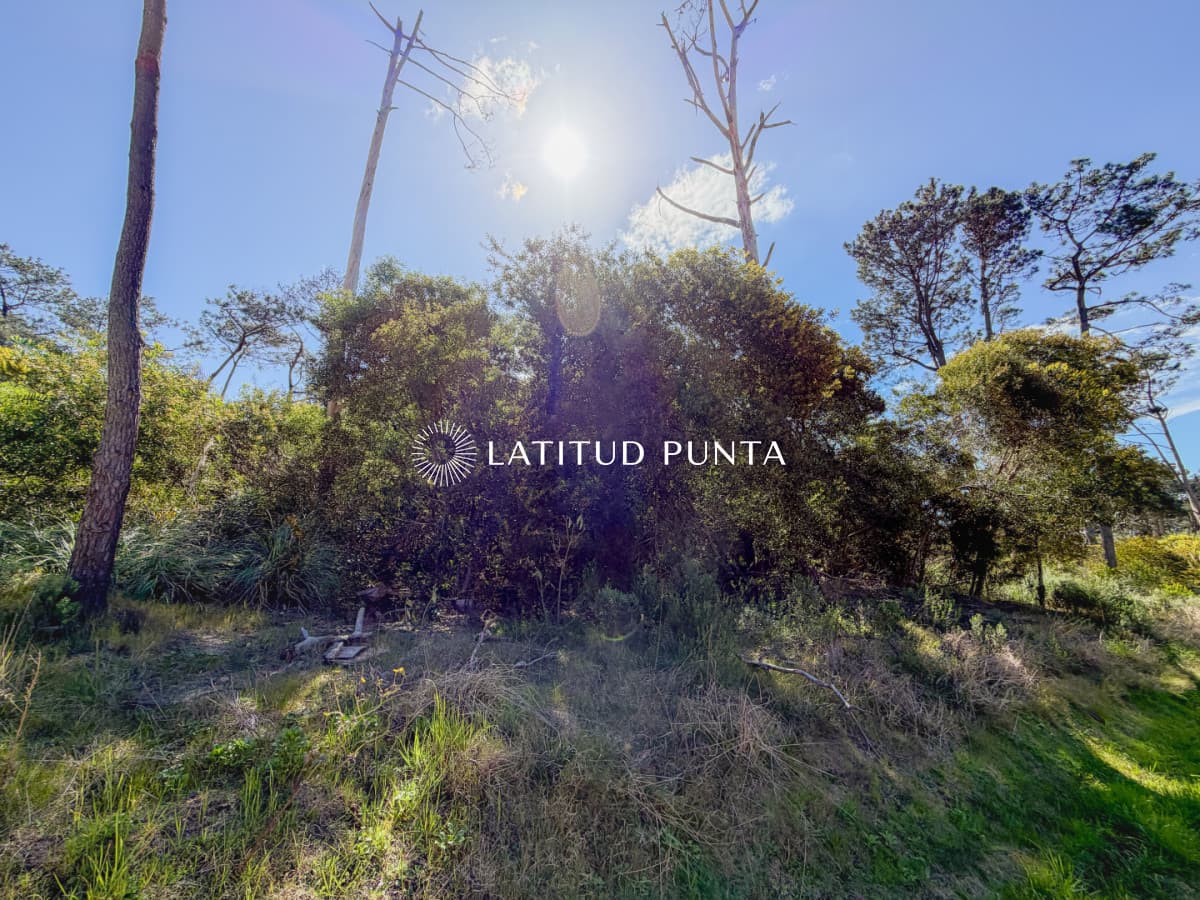 Terreno en Reserva Montoya