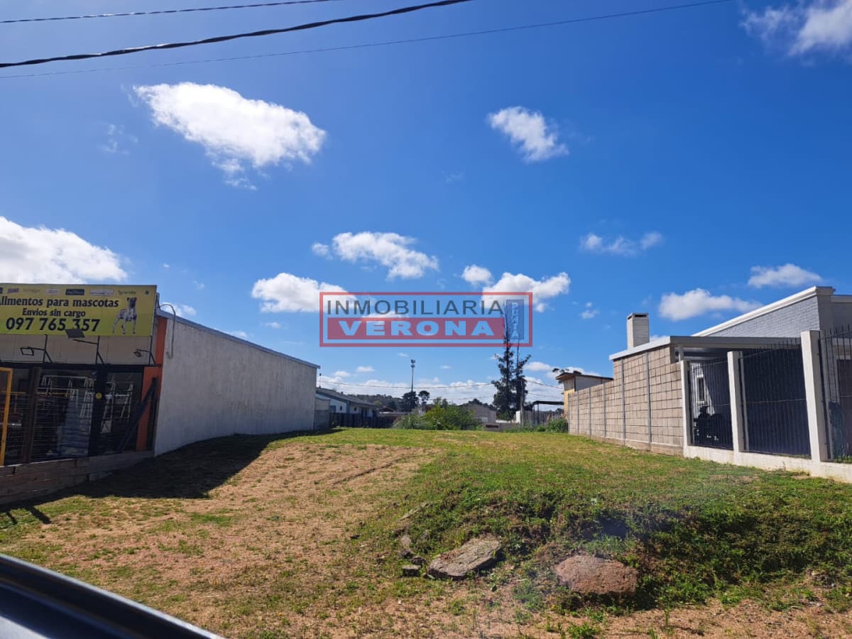 OPORTUNIDAD - Terreno 4H sobre Avda Leandro Gomez, Maldonado  - Inmobiliaria Verona Punta