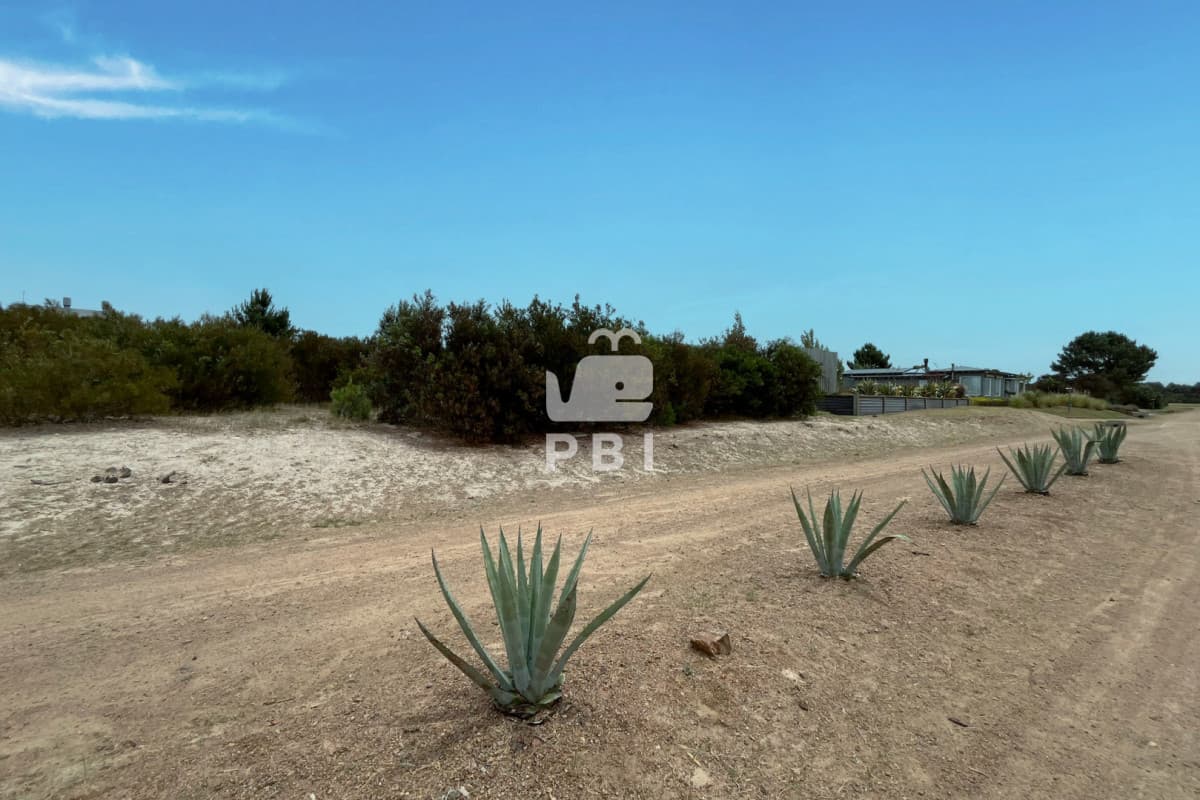 Departamentos y Casas en Punta del Este, Alquileres