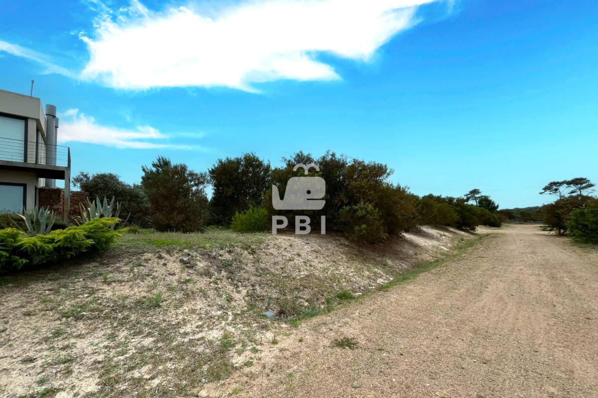 Departamentos y Casas en Punta del Este, Alquileres