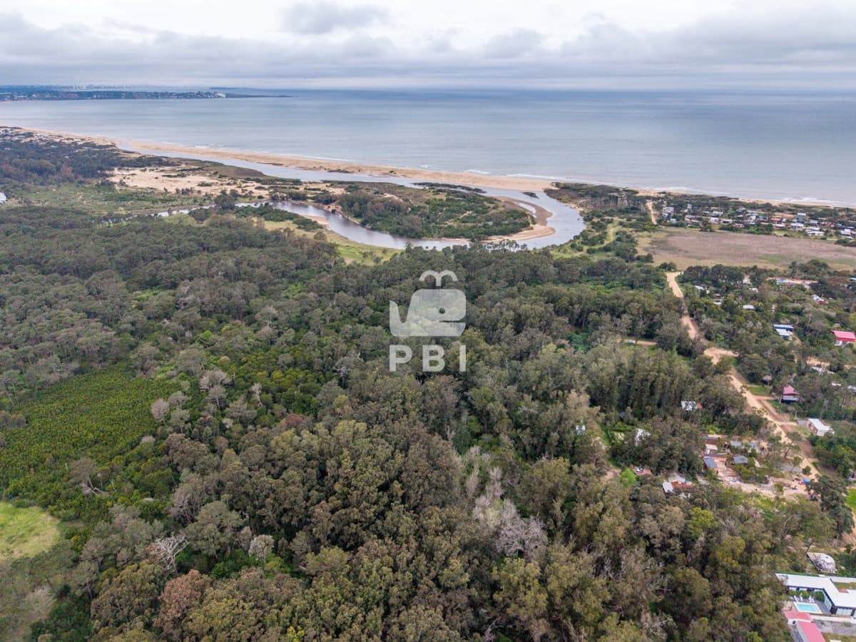 Departamentos y Casas en Punta del Este, Alquileres