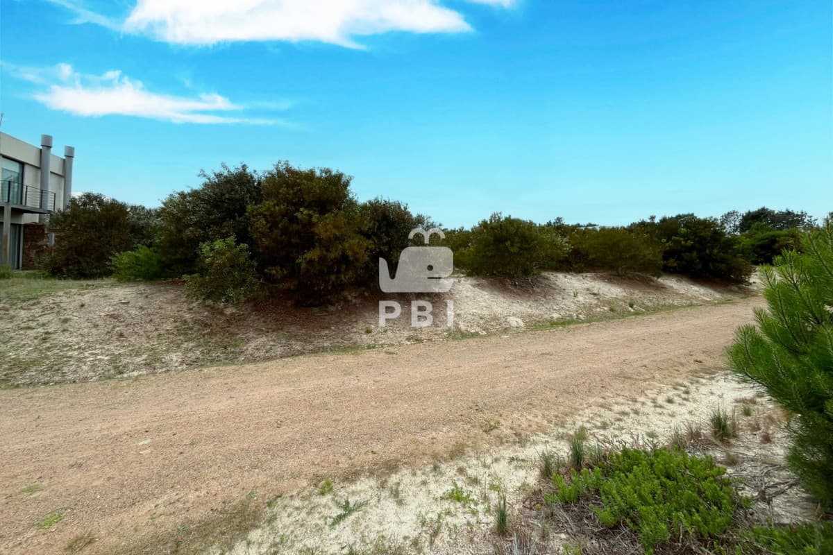 Departamentos y Casas en Punta del Este, Alquileres