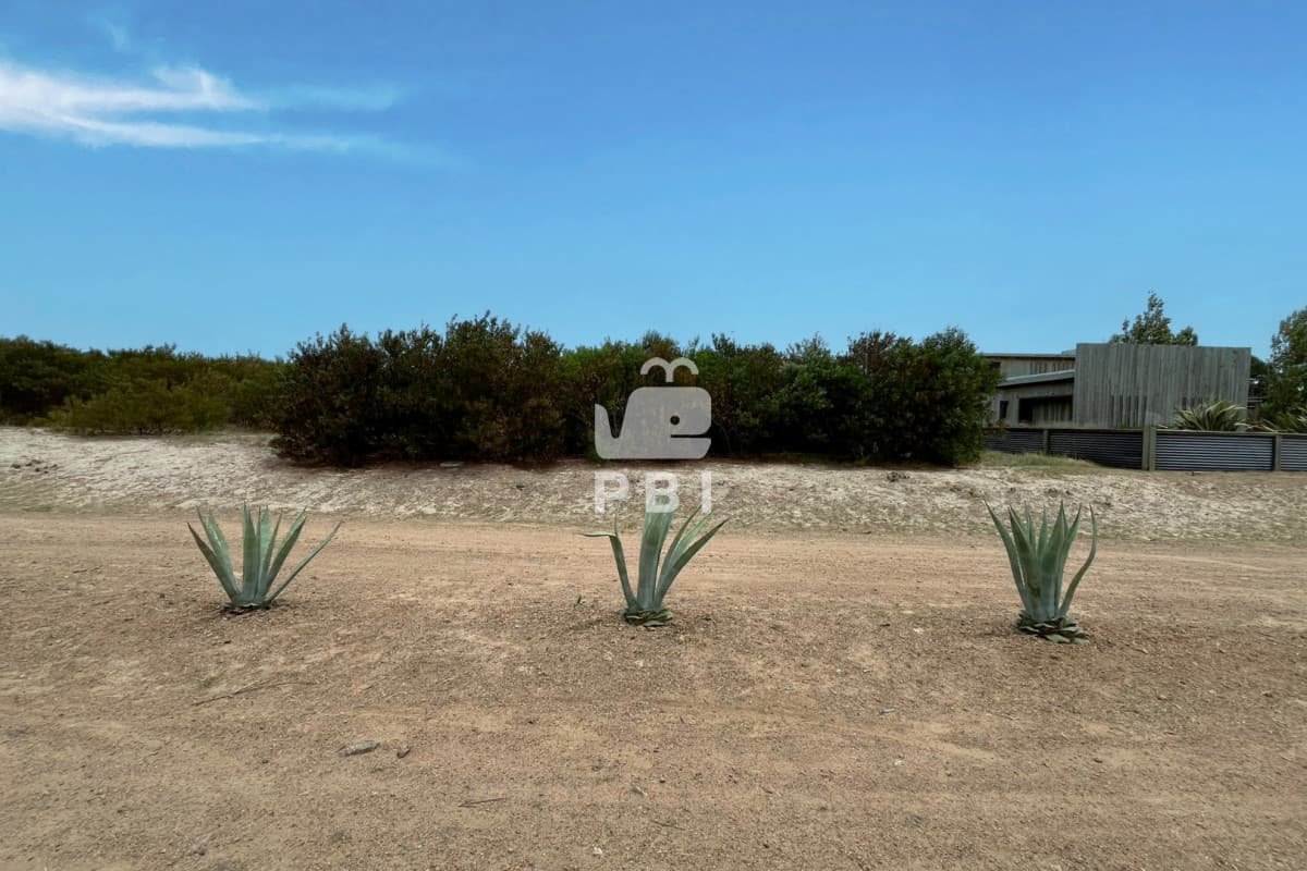Departamentos y Casas en Punta del Este, Alquileres