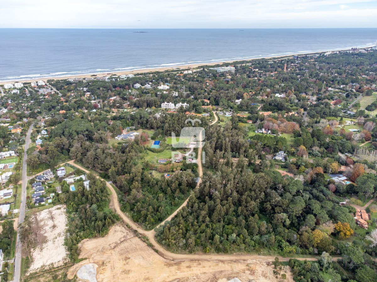 Departamentos y Casas en Punta del Este, Alquileres