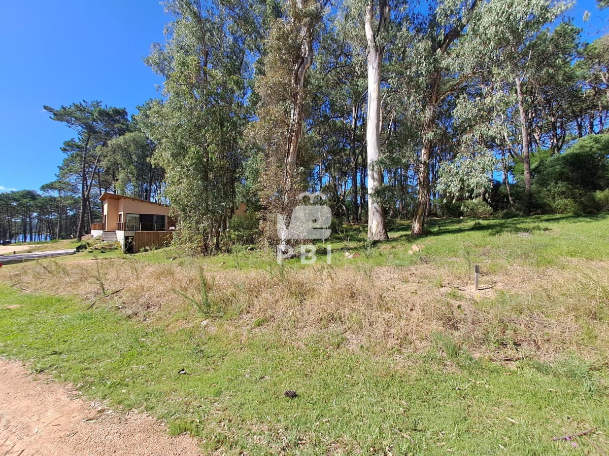 Departamentos y Casas en Punta del Este, Alquileres