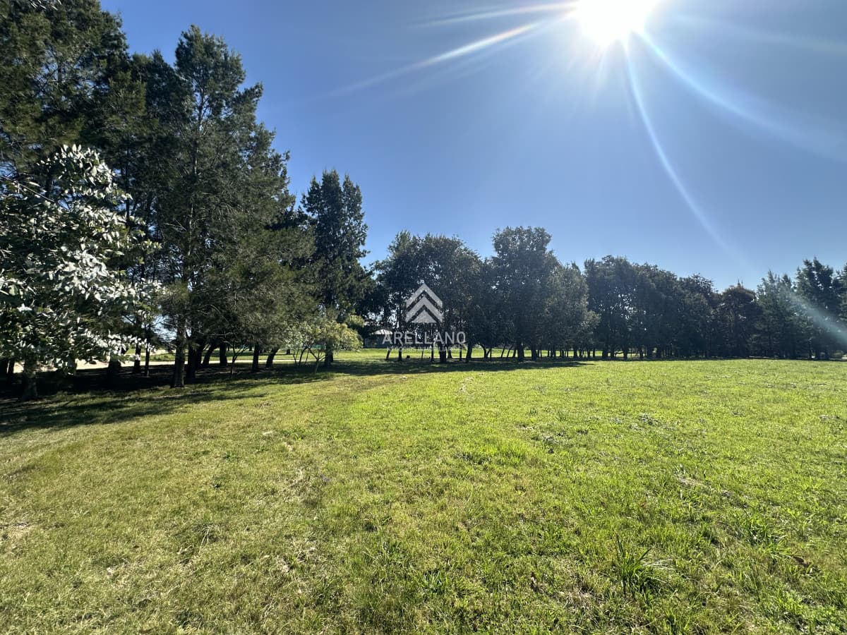 Terreno ID.4138 - Venta terreno en el quijote 6499m2 , lote en el quijote, Punta del Este