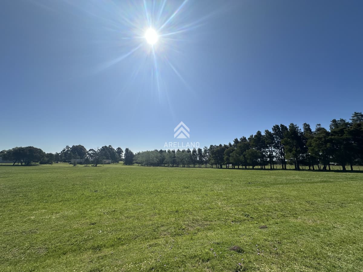 Terreno ID.4137 - Lote en venta, el quijote 5012m2, terreno en venta