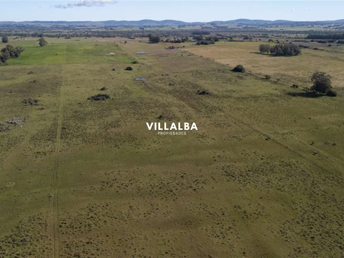 - Villalba Propiedades