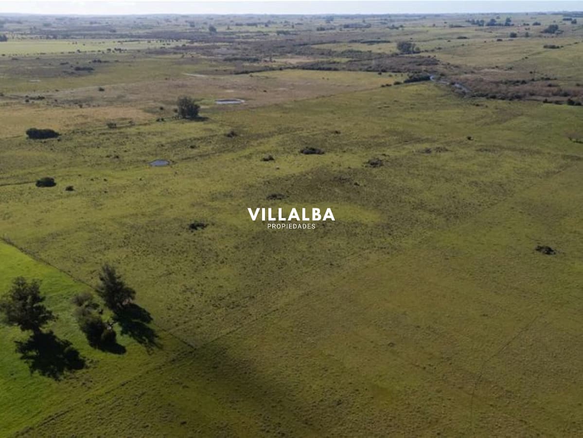 - Villalba Propiedades