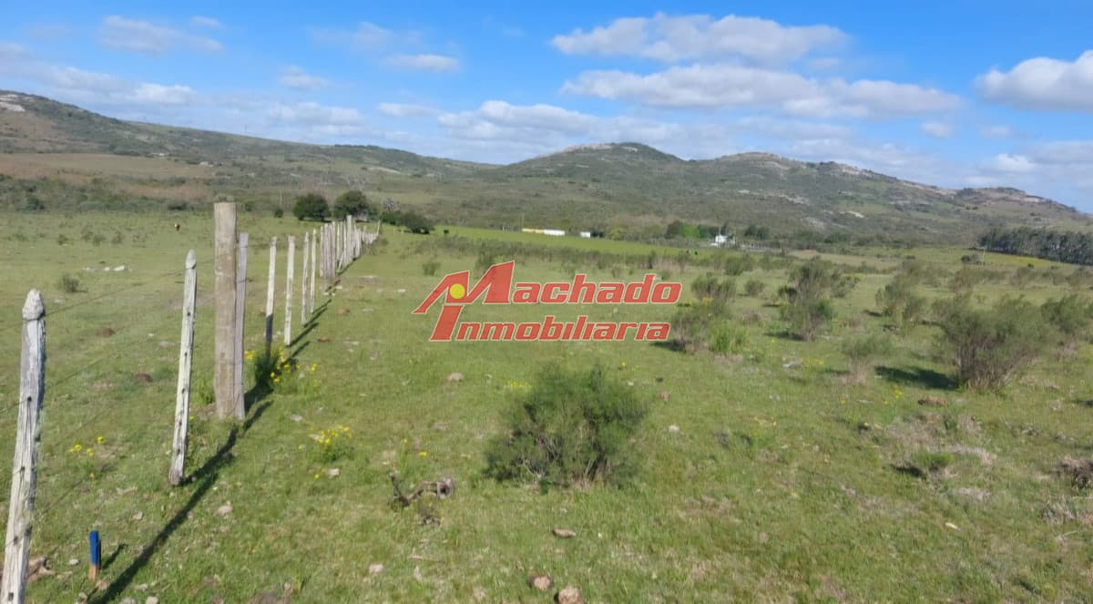 Venta de Chacras de 5 hectáreas cada una en Ruta 39
