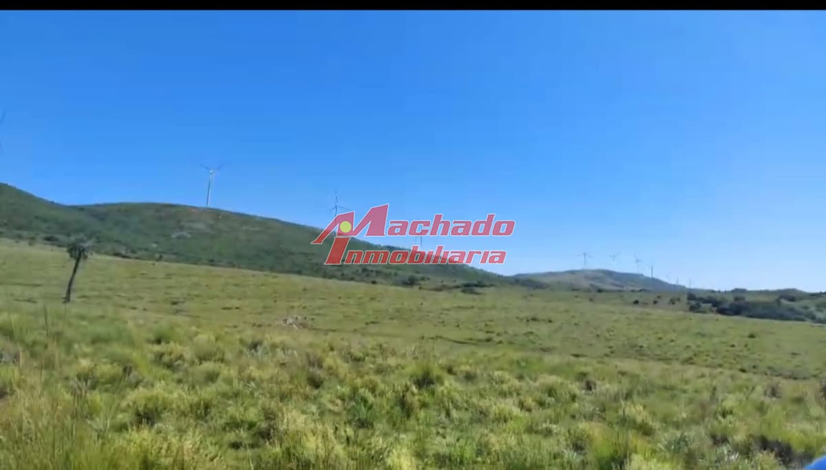 Venta de Chacras de 5 hectáreas cada una en Ruta 39